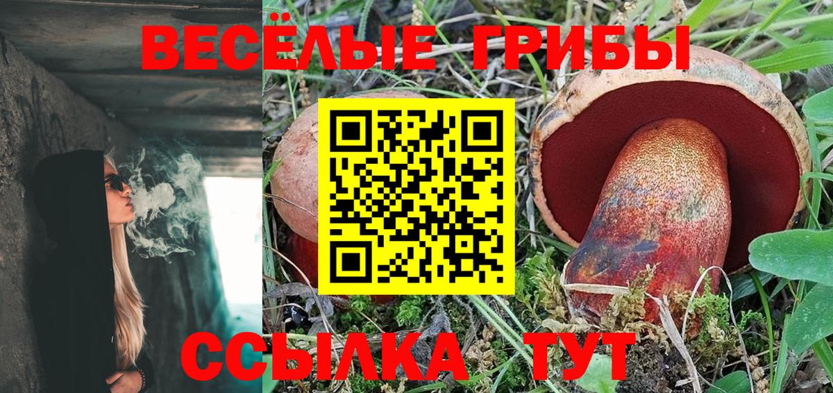 Мариинск  Галлюциногенные грибы Psilocybine cubensis  Вход с VPN 